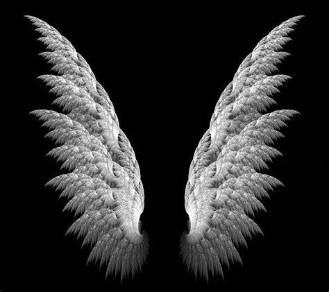 Wings Wallpapers Top Free Wings Backgrounds Wallpaperaccess