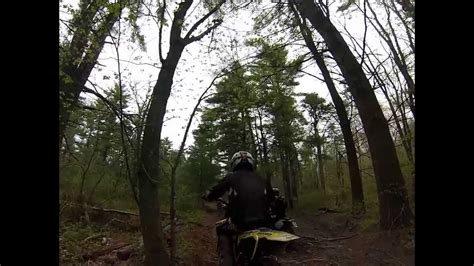 Freetown State Forest Freetown Mass Youtube