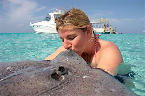 Get Kissed By A Stingray And Snorkel In Grand Cayman Island