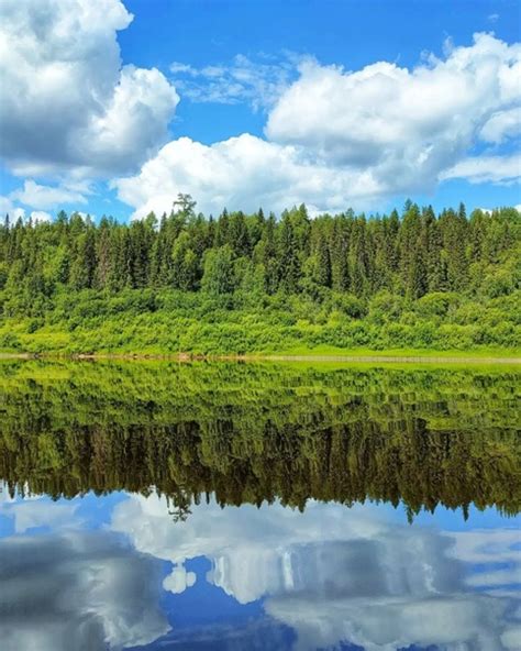Pinega River Among The Taiga Forests Of The Arkhangelsk Hinterland