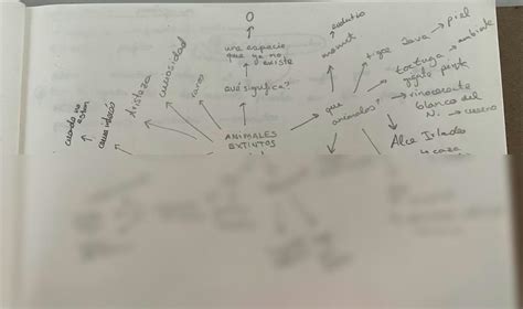 Solution Mapa Mental Studypool