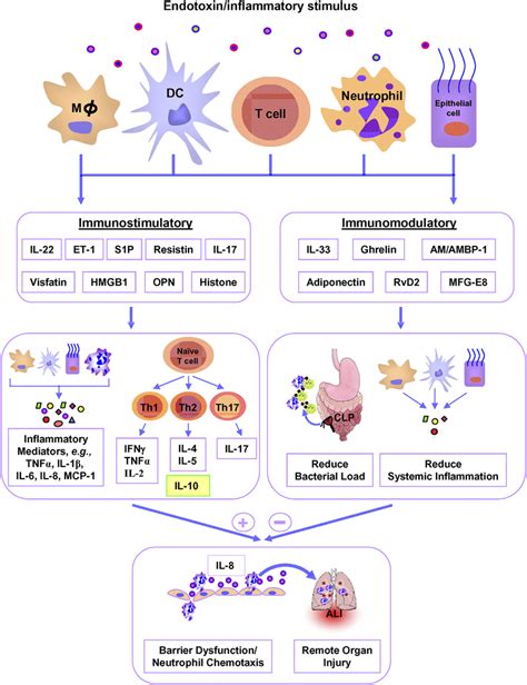 Sepsis is a serious medical condition. Latest trends in sepsis mediators. In sepsis, the newly ...