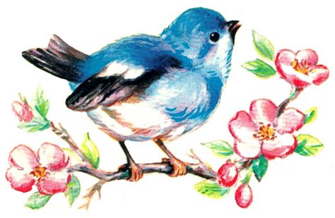 16 Vintage Style Bluebirds And Blossoms Waterslide Decals 995 Via