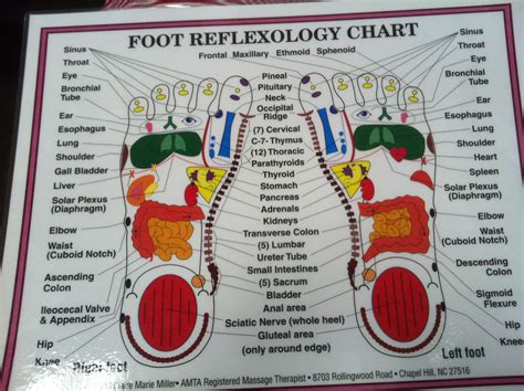 Reflexology Chart Explaining Where Each Part Of The Foot Affects