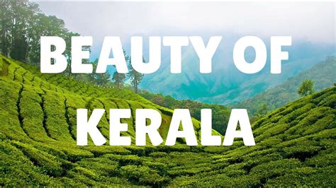 Kerala The Beauty Of Nature Youtube