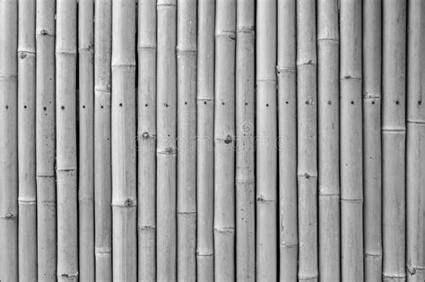 Closeup Of A Bamboo Wall Stock Photo Image Of Pattern 113629192