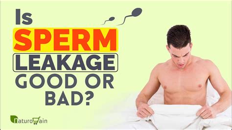 Is Sperm Leakage A Good Sign How Can I Prevent Seminal Discharge
