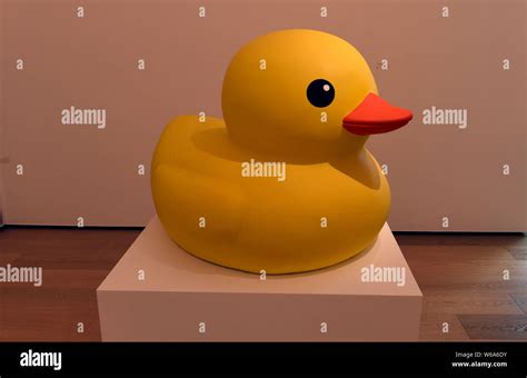 An Art Installation Of Rubber Duck Designed By Dutch Artist