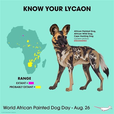 Pin By Savannah Smith On Refs African Wild Dog Wild Dogs Animals Wild