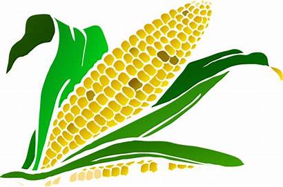 Agriculture Clipart Crop Corn Plant Clipartmag