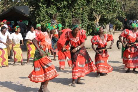 For those who like warmer weather, we also have sandboarding (the desert version of skateboarding) or camel safaris. Traditional music in Zambia | Music In Africa