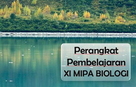 Untuk mempersiapkan menghadapi osn 2018 tentunya perlu persiapan yang matang. Download RPP 4C Biologi Kelas XI Kurikulum 2013 & Perangkat