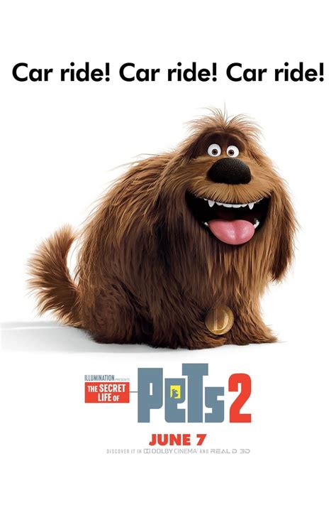 See more of the secret life of pets 2 on facebook. The Secret Life of Pets 2 DVD Release Date | Redbox ...