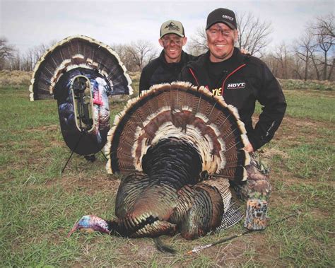 Get Best Turkey Decoys To Use Images Backpacker News
