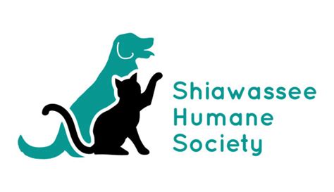 Animal Shelters And Rescues Near Me In Owosso Michigan Petcurious