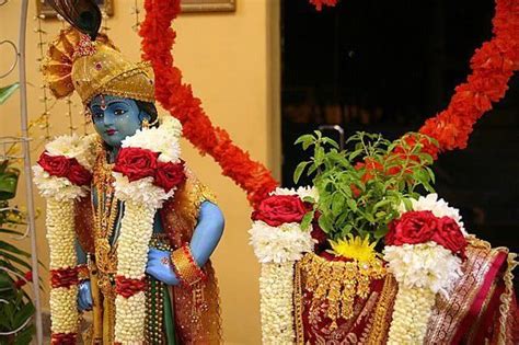 Why Do We Worship Tulsi Plant Tulsi Vivah Tulsi Goddess Decor