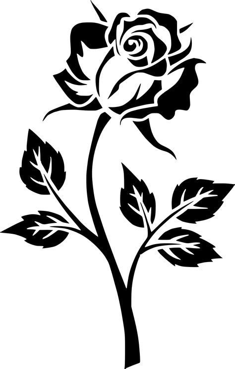 Download Black And White Rose Png Red Rose Logo Transparent