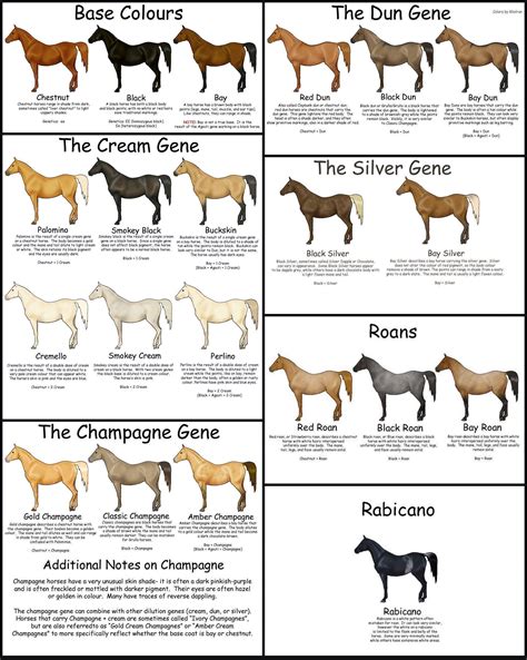 Horse Color Chart For Breeding