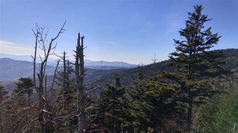 80 Great Smoky Mountains Hiking Trails National Park By Difficulty