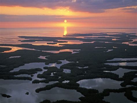 Everglades National Park Wallpapers Wallpaper Cave