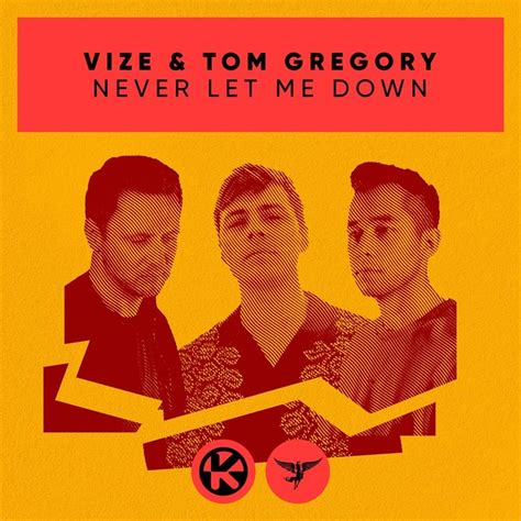 Vize And Tom Gregory Never Let Me Down Lyrics Genius Lyrics