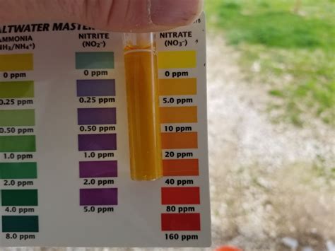 How Do You Compare Colors On Api Saltwater Master Test Kit Reef2reef