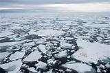 Pictures of Melting Of Sea Ice