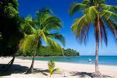 Panama Coiba Island Beaches Isla Islands America