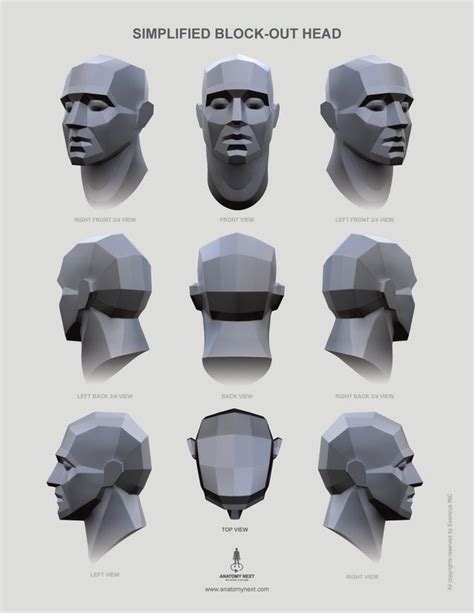 Planar Head Block Out Chart Anatomy Sculpture Anatomy Art Art