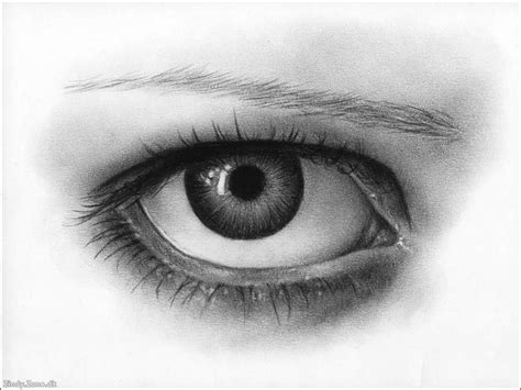Fun The Ultimate Collection Of Eye Drawings With Pencil