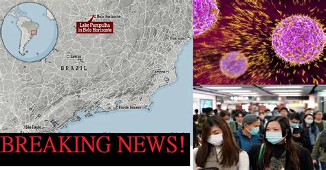 Isa Pang MISTERYOSONG Bagong Virus Lumabas Sa Lawa Ng Brazil Ayon Sa Mga Scientists