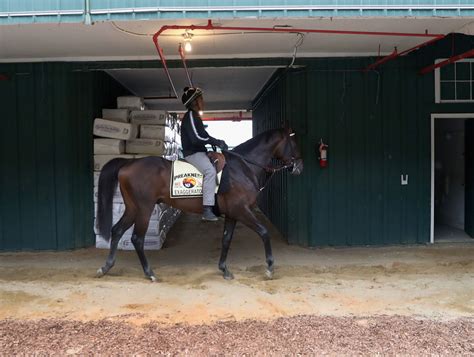 Trainer kenny mcpeek accepts the 145th preakness stakes trophy on behalf of swiss skydiver's owner peter callahan. 4 expert picks for the Preakness Stakes | theScore.com