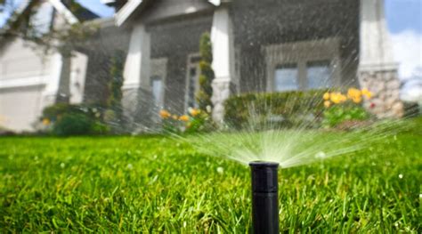 Use A Smart Sprinkler Controller For A Green Lawn Reviewed