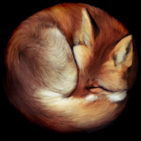 Sleeping Fox Pictures Photos And Images For Facebook Tumblr