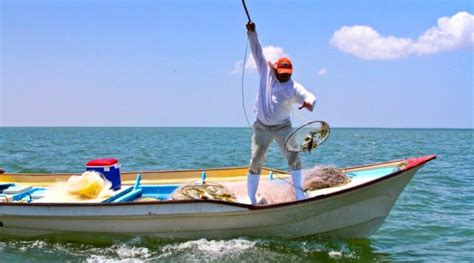 Ley General De Pesca Y Acuacultura Sustentables Actualizado Julio 2023