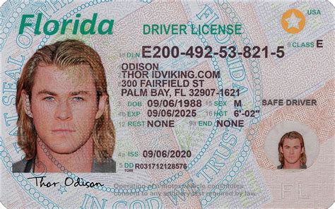 Florida Fl New Drivers License Psd Template Download Idviking