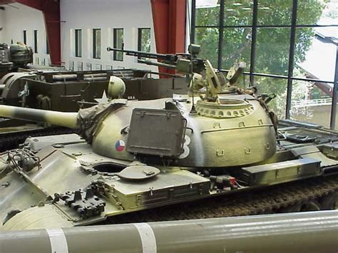 Toadmans Tank Pictures T 55a