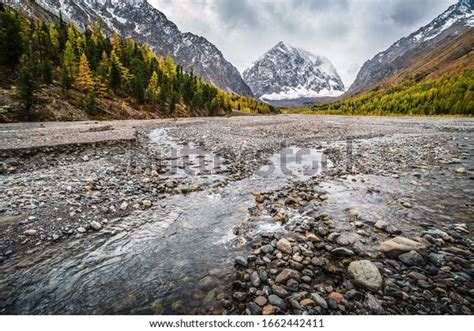 Autumn Valley Aktru River Foot Glaciers Stock Photo 1662442411
