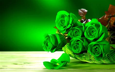 Download Wallpapers Green Roses A Bouquet Of Green Flowers Roses