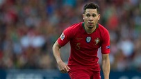 Raphael Guerreiro and the Bundesliga Players at the UEFA Nations League ...