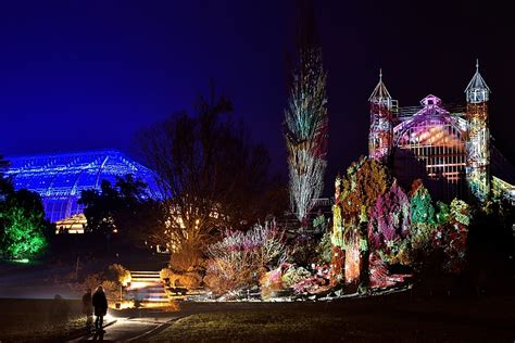 Steglitz Botanischer Garten Christmas Garden 2016 - nightphotos.de