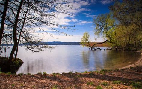 Berlins Best Lakes For Sunbathing And Wild Swimming Telegraph