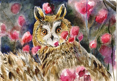 Owl Blossom Illustration Gufo Tra I Fiori Illustrazione Art By