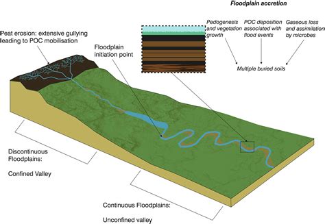 Geomorphological Controls On Fluvial Carbon Storage In Headwater