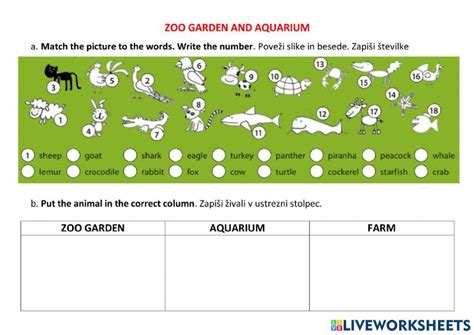 Zoo Garden And Aquarium Worksheet Live Worksheets