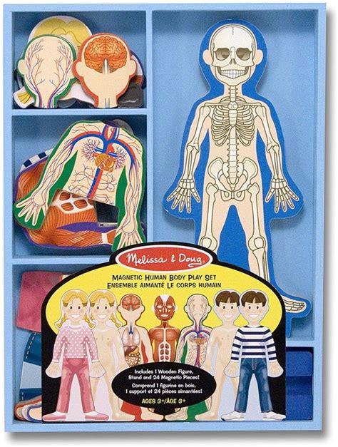 Amazon Melissa And Doug Magnetic Human Body Set For 899 Reg 13