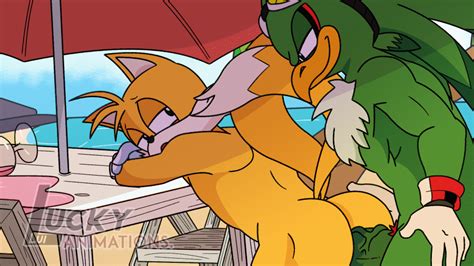 Rule Anal Anal Sex Animated Anthro Ass Avian Beach Canid Canine