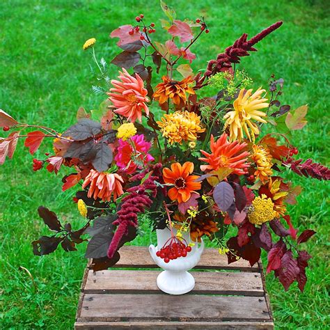 Mid November Arrangement Of Dahlias Amaranthus And Guilder Rose By