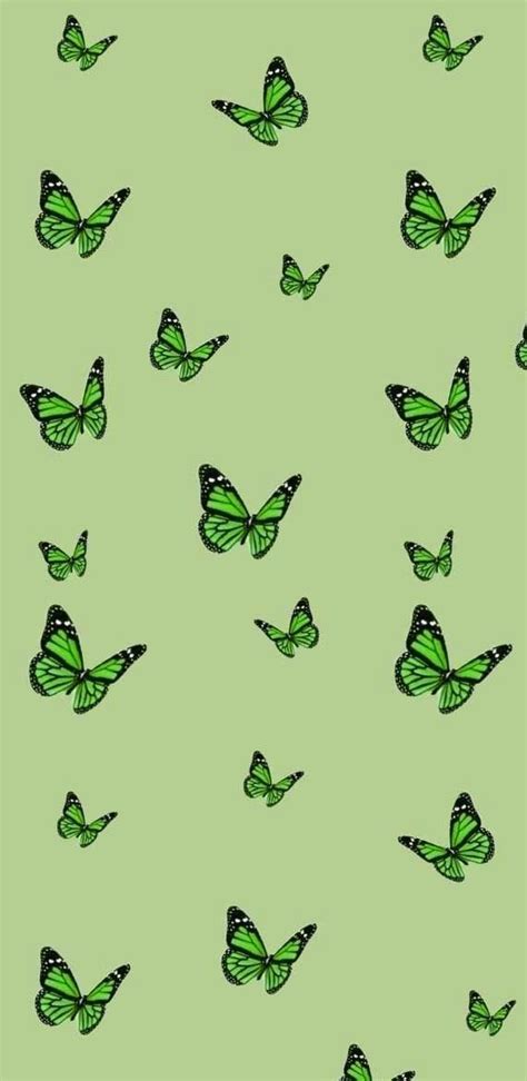 Wallpaper Butterfly Green