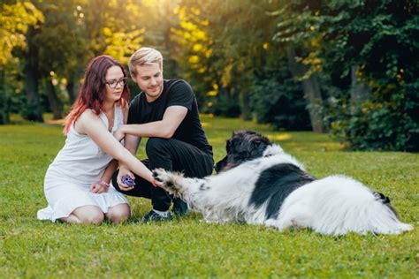 Premium Photo Newfoundland Dog Plays With Man And Woman In The Park